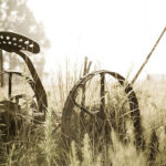 expectations beware Charlie Judy