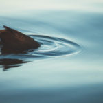 HRs, Beware Of The Continuous Candidates HR Tech Weekly