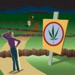 Marijuana Laws: Navigating the Shifting Landscape SHRM