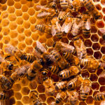 Take a Break and Read Our News About Sex Breaks ERE