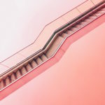 4 Offer Stage Strategies to Win Top Candidates Hired