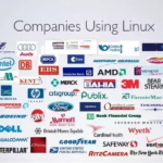 Which Companies Use Which Technologies Irini Shamaeva