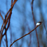 It Takes An ‘Awakening’ Before a Feedback Culture Can Flourish TLNT