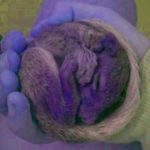 You’ve heard of SourceCon Austin (Guest Post by Dave Galley) Irini Shamaeva