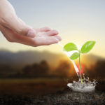 HR Roundtable: What HR Can Do to Help People Thrive TLNT