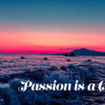 Passion is a Choice HR Examiner