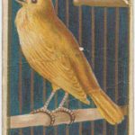 Sentinel Employees HR Examiner