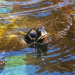 Here’s When It’s Okay to Be Slow to Hire ERE