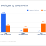 Startup vs. Giant: Tech Workers Weigh in on Company Size Indeed