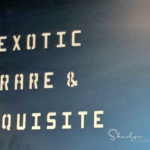 Employee Benefits: Make Them Easy to Buy and Use Sharalyn Lauby