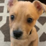 OnBoarding The Newest Member of the Team Robin Schooling