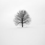 Racism: When HR is Part of the Problem Robin Schooling