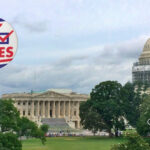 What You Need to Know About Voting and Why: #Election2020 Sharalyn Lauby