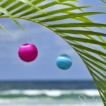 Thank You and Happy 2021! Sharalyn Lauby