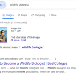 Dimensions of Reverse Image Search on Google Irini Shamaeva