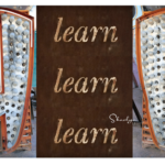 5 Activities to Earn Recertification Credits Sharalyn Lauby