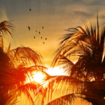 Summer of (Customer) Success Entelo