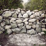 I’m Hesitant to Ask, But… Robin Schooling