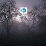 LinkedIn Job Search Is Haunted Irini Shamaeva