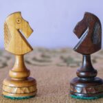 Workplace Socialization and Inclusion Robin Schooling