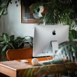 Dying on the Vine: Casualties of Work from Home Robin Schooling